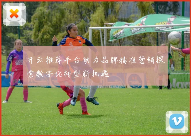 开云推荐平台助力品牌精准营销探索数字化转型新机遇